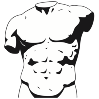 Classical Greek Torso Sculpture Representing Ancient Art and Anatomy in Timeless Design and Aesthetic Expression for Art Enthusiasts png