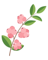 Delicate Botanical Illustration of Pink Snowberries on a Branch with Green Leaves for Natural and Floral Themes png