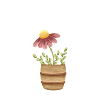 Rustic Pot with Hand Drawn Watercolor Daisy and Leaves png