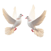 Two white doves flying together in harmony a symbol of peace love and unity a graceful and serene image of hope and togetherness png
