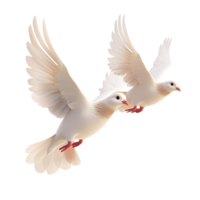 Two white doves flying together in harmony a symbol of peace love and unity a graceful and serene image of hope png