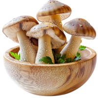 Bowl of assorted brown mushrooms on a white surface png