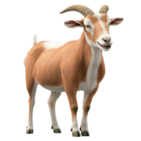 Brown goat standing alertly with its head turned to side png