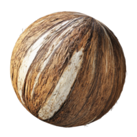 Rustic brown whole coconut with rough hard textured shell png