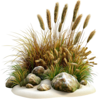 Decorative dry grass bunch with smooth rocks and pebbles png