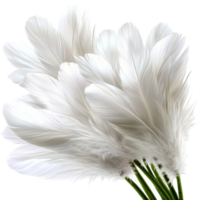 Pile of soft white feathers natural texture png