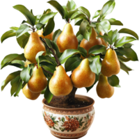 Pear tree in decorative pot with abundant fruit harvest png