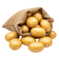 A burlap sack spilling over with fresh whole golden potatoes on a clean white surface isolated on transparent background png