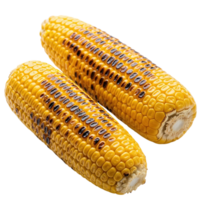 Two delicious grilled corn on the cob with char marks isolated on transparent background png