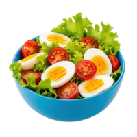 Freshly prepared healthy salad with lettuce cherry tomatoes and hard boiled eggs in a blue bowl isolated on transparent background png
