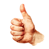 Realistic human hand giving a thumbs up gesture isolated on transparent background png