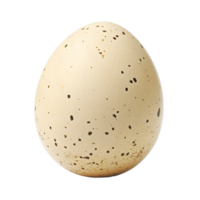 A single speckled bird egg with a light beige shell and dark brown spots isolated on transparent background png