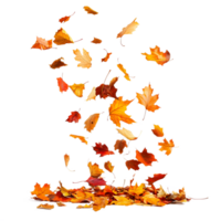 Autumn leaves falling from the sky in a cascade isolated on transparent background png