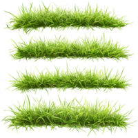 Four realistic textured green grass patches isolated on transparent background png
