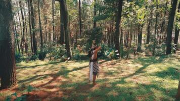 Javanese Archer Standing in a Sunlit Forest Clearing video