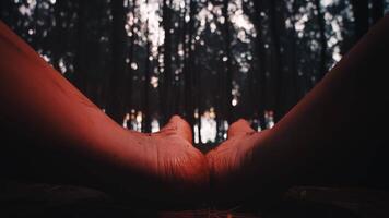 Low-Angle View of Feet on the Ground in a Dark Forest video