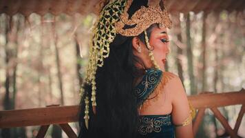 Javanese Dancer from Behind Showing Headdress and Costume video