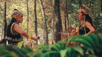 Graceful Javanese Couple Dancing in a Pine Forest video