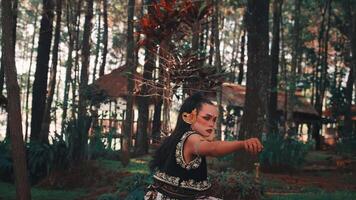 Fierce Javanese Dancer Kneeling and Performing in a Forest video