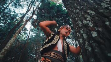 Emotional Javanese Dancer Interacting with a Forest Tree video