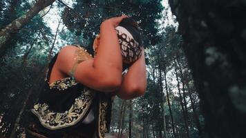 Javanese Dancer Adjusts Headdress and Performs Near a Tree video