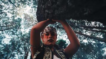 Low-Angle View of Javanese Dancer Performing Under a Tree video