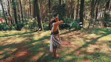 Traditional Javanese Archer Standing in a Sunny Forest Clearing video