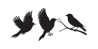 Bird Silhouettes Flying and Perching Together vector