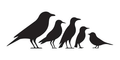 Bird Silhouettes for Wildlife, Freedom, and Nature Concepts vector