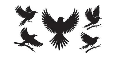 Flying and Resting Bird Silhouettes in Various Poses vector