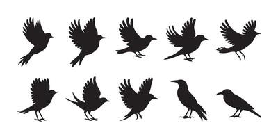 Multiple Flying Bird Silhouettes vector