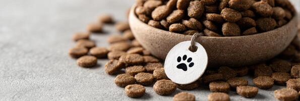 Closeup View of Grain-Free Kibble in a Clean Neutral Space Highlighting Pet Nutrition and Wholesome Ingredients photo