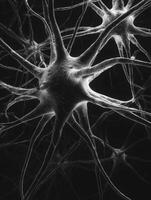 Black and White Representation of Nerves Under Pressure Showcasing Intricate Neural Connections and Their Metaphorical Significance photo
