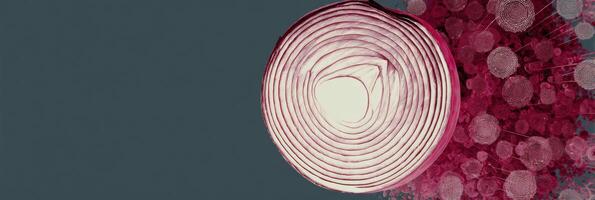 Cross-section of Red Onion Demonstrates Detailed Structure and Layering in Scientific Infographic Style With Focus on Cellular Composition photo