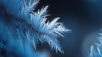 Intricate Frost Patterns on a Cold Winter Morning. photo