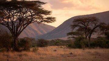 Serene African Savannah Landscape at Golden Hour with Acacias and Rolling Hills. photo