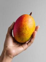 Hand Gently Holding a Ripe Mango Against a Soft Monochrome Background Inviting Fresh Tropical Flavors and Seasonal Delight photo