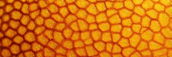Close-up View of Orange Peel Texture Showcasing Intricate Patterns and Vibrant Colors in Macro photo