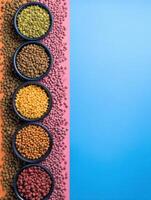 Pet Food Product Comparison Highlighting Vibrant Kibble Varieties With Space for Branding or Information on the Right Side photo