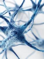 Abstract Tangled Nerves in Blue Tones on White Background Showcasing a Soft 3D Render of Medical Concepts Related to Neuroscience and Biology photo
