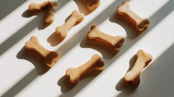 Dog Bone Treats Arranged in Flat Lay on White Surface With Soft Natural Sunlight and Diagonal Shadows Creating a Warm Ambiance photo