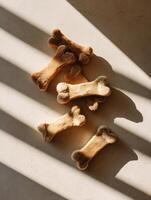 Natural Sunlight Illuminates Dog Bone Treats Casting a Diagonal Shadow on a Light Surface photo
