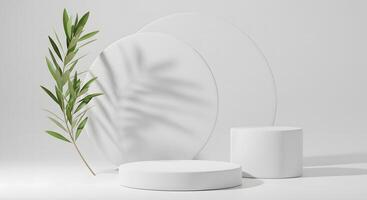 Minimalist white podiums with green branch and leaf shadows on a clean background photo