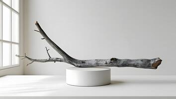 Natural weathered driftwood branch displayed on a minimalist white pedestal against a bright window background photo