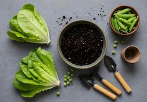Gardening supplies and fresh vegetables including lettuce peas and potting soil for planting photo