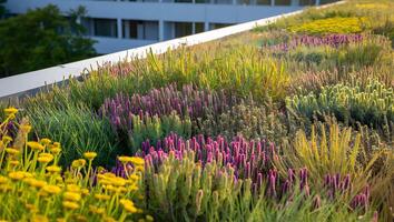 A green roof with flowers and plants on it photo