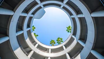 A circular building with palm trees in the sky photo