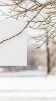 Serene Winter Morning Delicate Tree Branches with Emerging Buds Against a Soft Snowy Backdrop, Capturing Nature's Quiet Awakening. photo