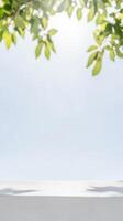 Lush green leaves frame a bright, clear sky, casting gentle shadows on a pristine white surface, perfect for product display or serene natural backgrounds. photo