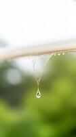 Captivating Macro Shot of a Glistening Dewdrop on a Delicate Spiderweb, Reflecting Vibrant Green Nature at Dawn. Purity and Renewal. photo